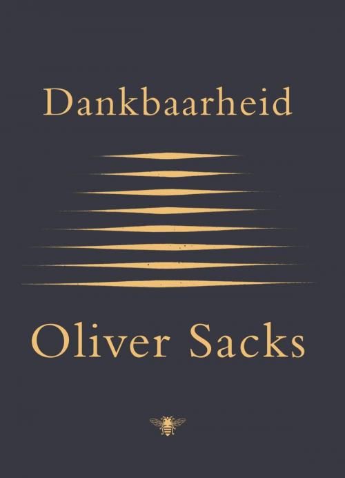 Cover of the book Dankbaarheid by Oliver Sacks, Bezige Bij b.v., Uitgeverij De