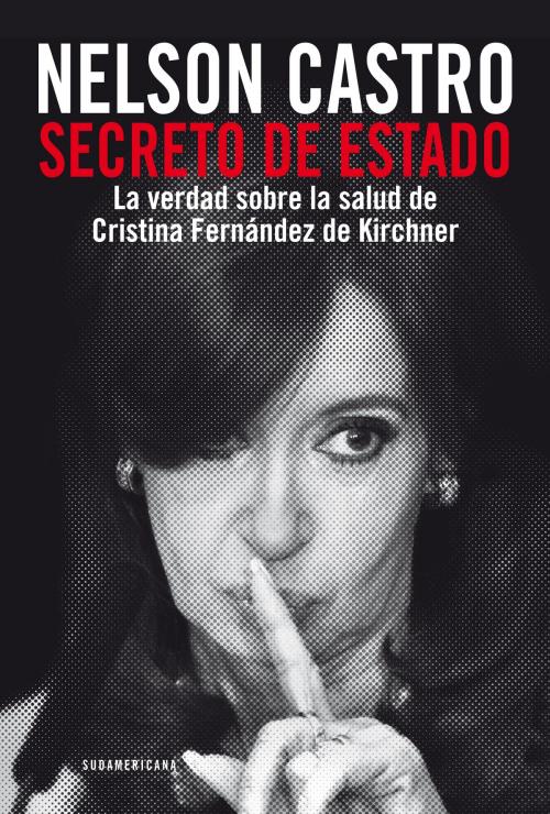 Cover of the book Secreto de Estado by Nelson Castro, Penguin Random House Grupo Editorial Argentina