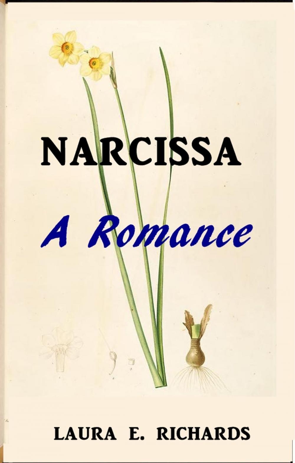 Big bigCover of Narcissa