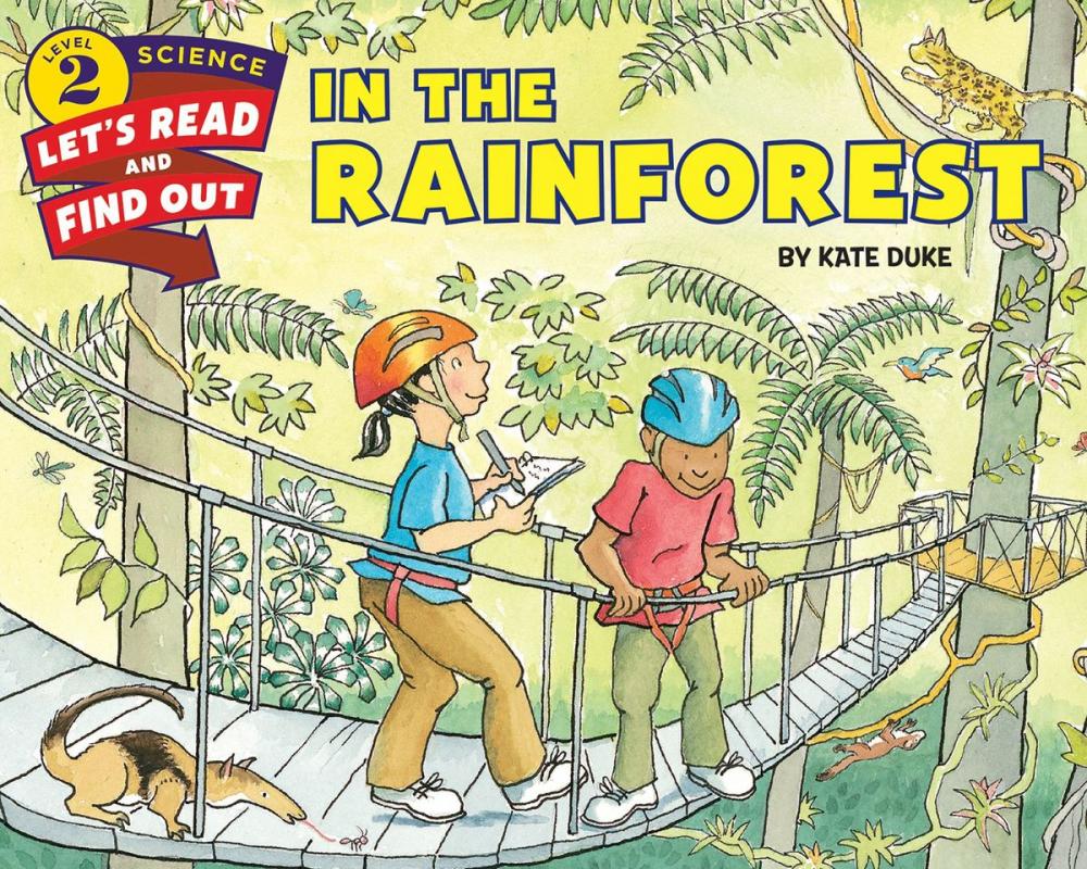 Big bigCover of In the Rainforest