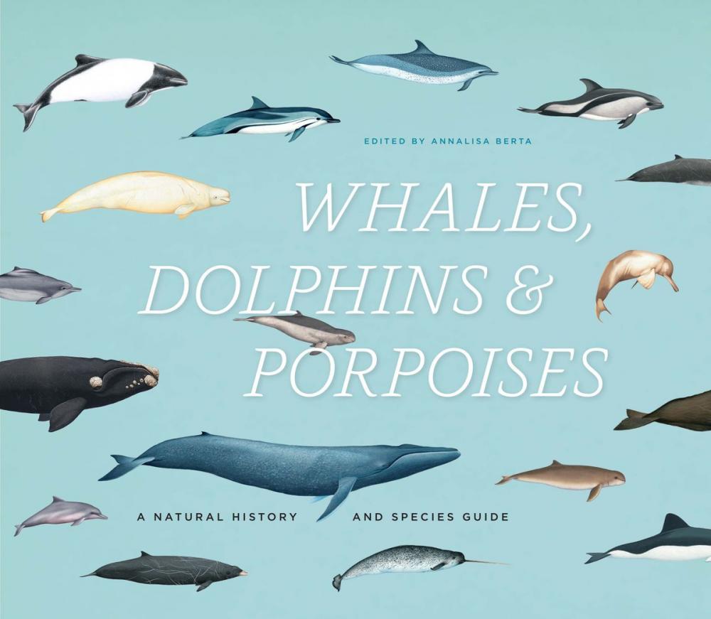 Big bigCover of Whales, Dolphins, and Porpoises