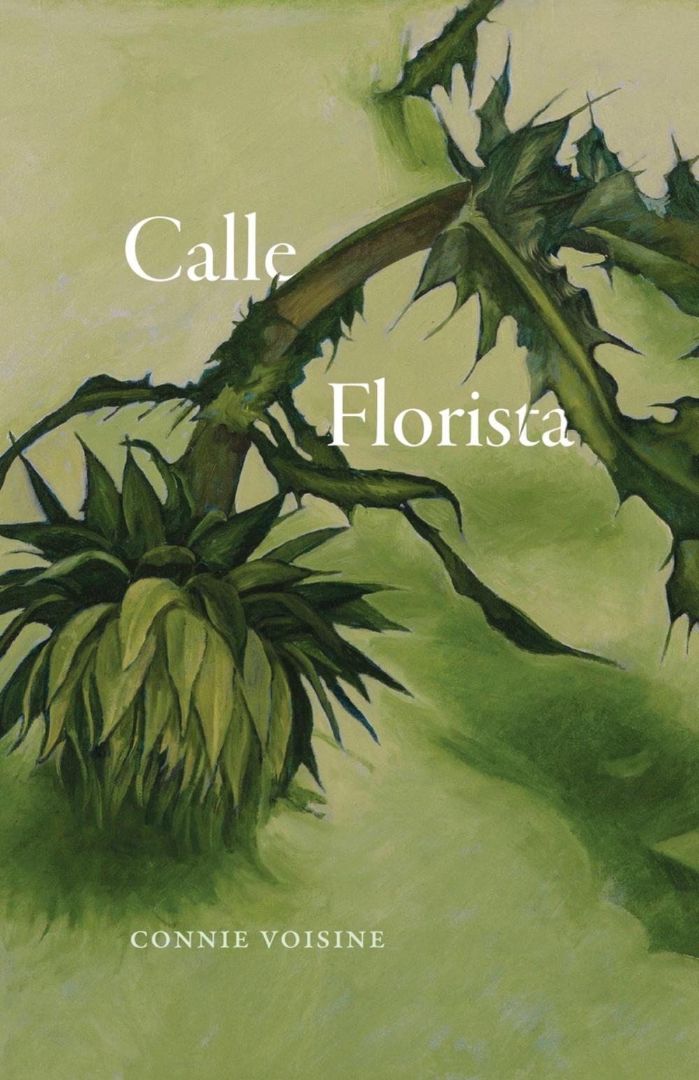 Big bigCover of Calle Florista