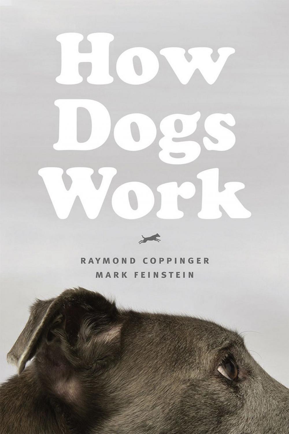 Big bigCover of How Dogs Work
