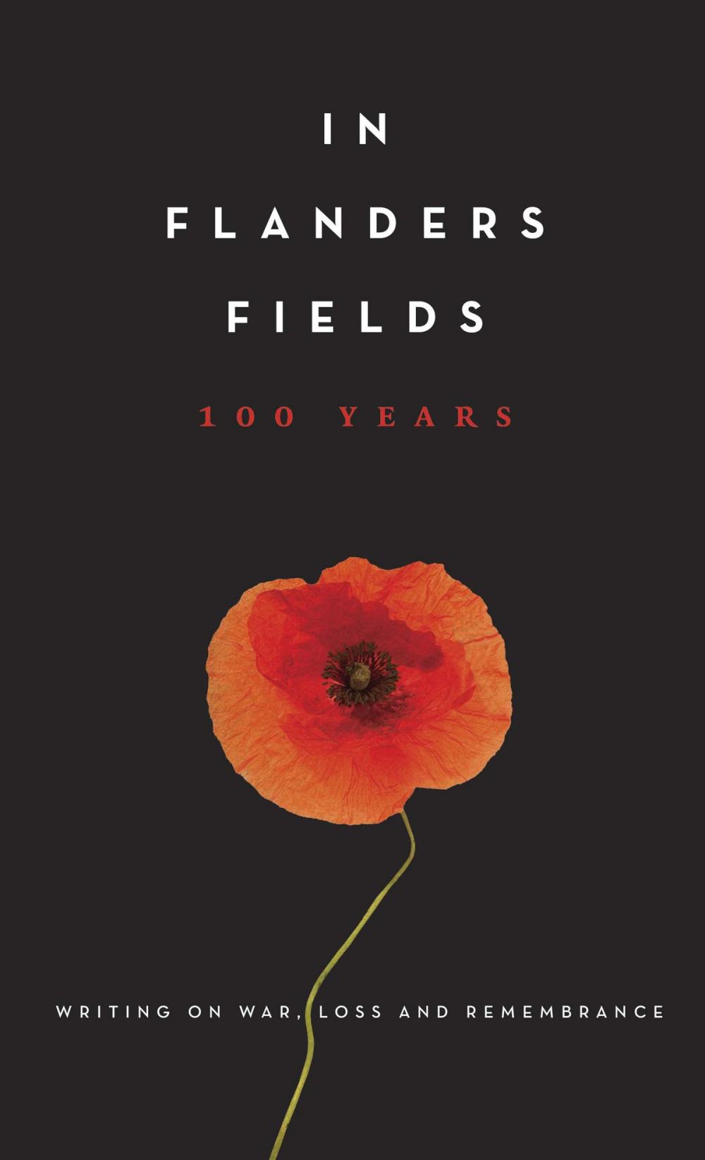 Big bigCover of In Flanders Fields: 100 Years