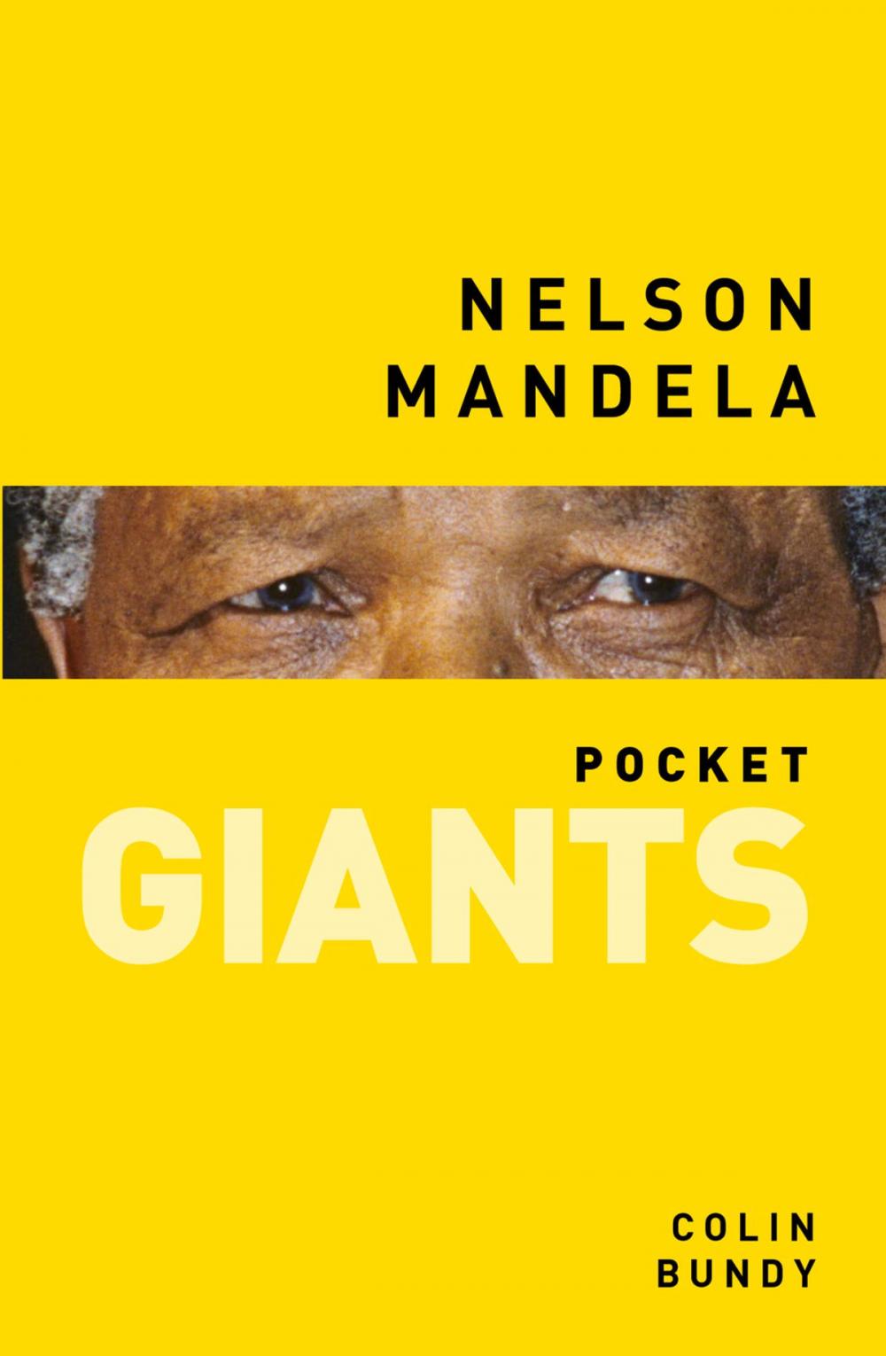 Big bigCover of Nelson Mandela