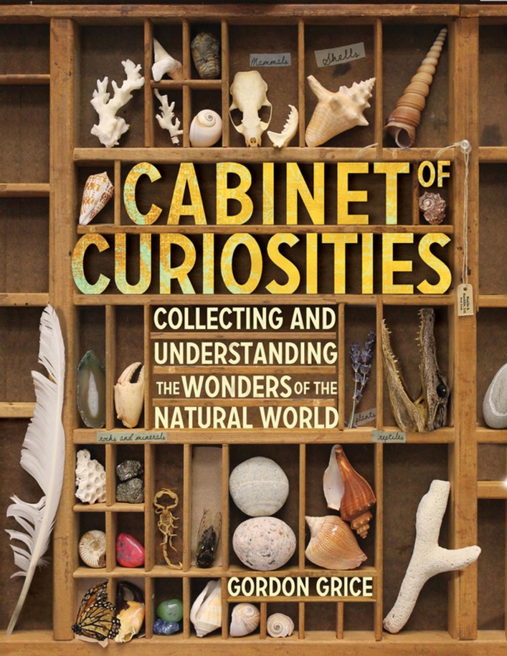 Big bigCover of Cabinet of Curiosities