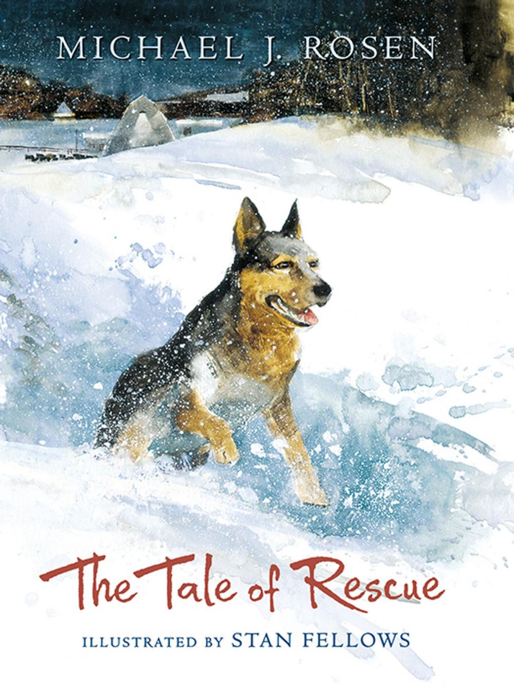 Big bigCover of The Tale of Rescue