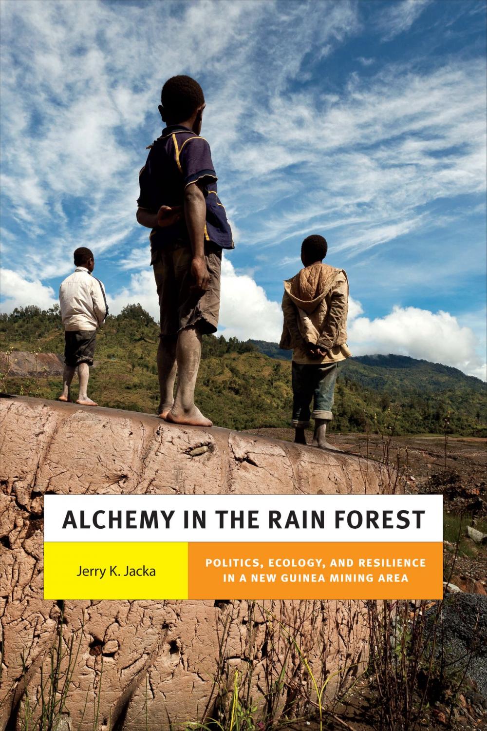 Big bigCover of Alchemy in the Rain Forest