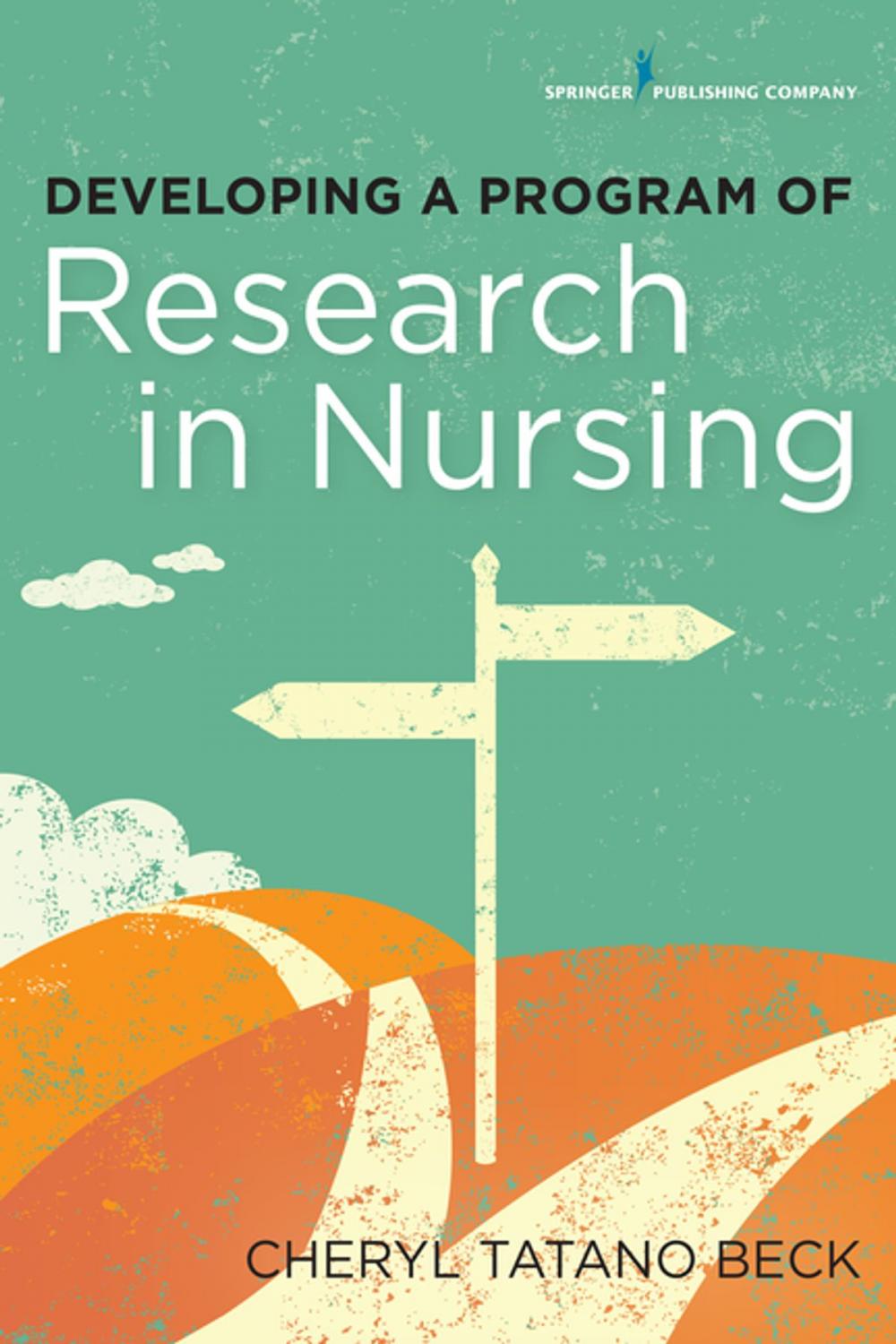 Big bigCover of Developing a Program of Research in Nursing