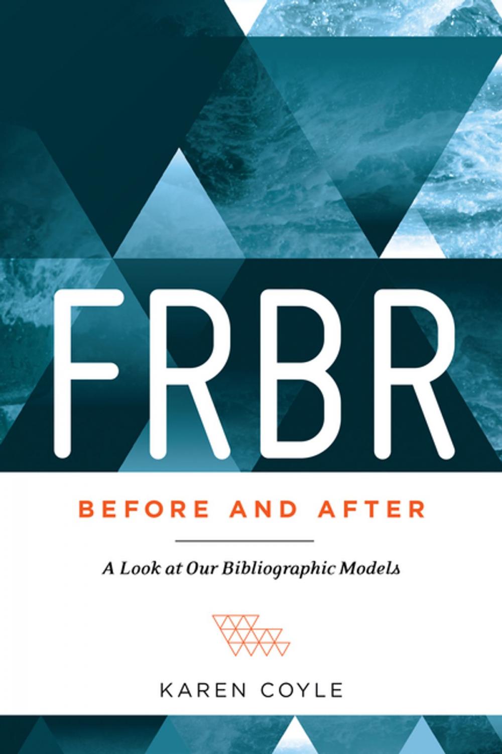 Big bigCover of FRBR, Before and After