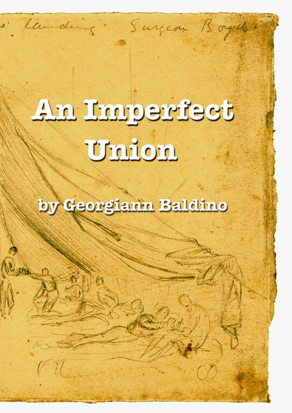 Big bigCover of An Imperfect Union