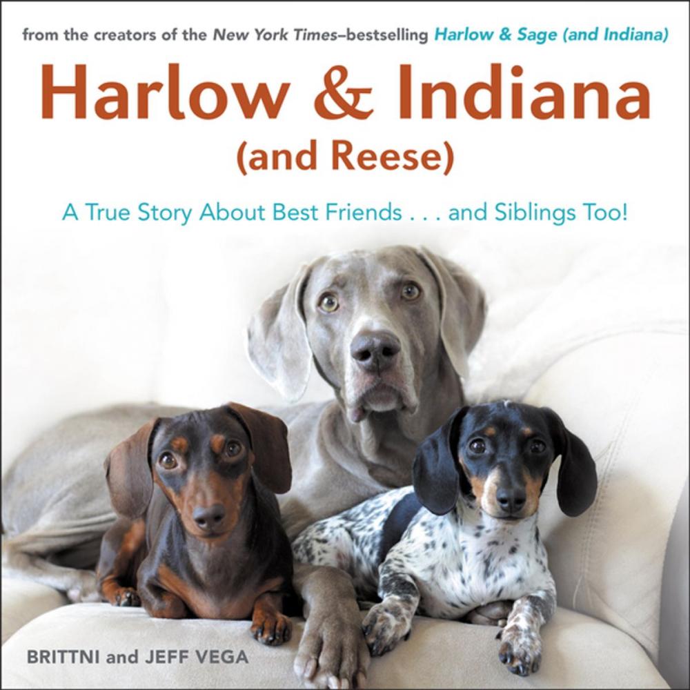 Big bigCover of Harlow & Indiana (and Reese)