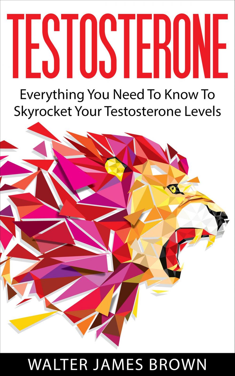 Big bigCover of Testosterone: Everything You Need To Know To Skyrocket Your Testosterone Levels