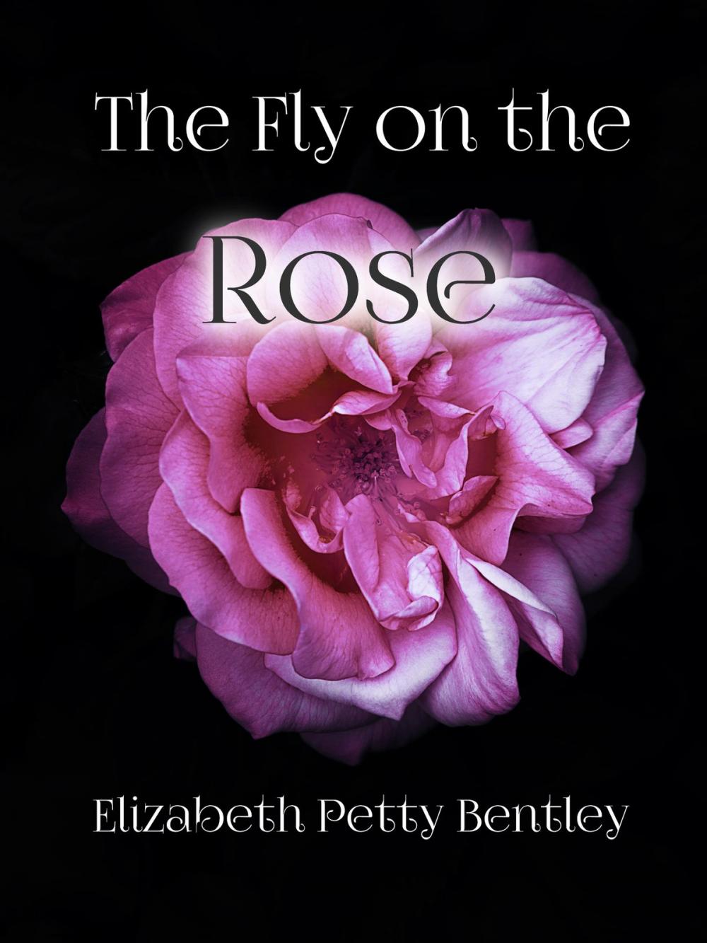 Big bigCover of The Fly on the Rose