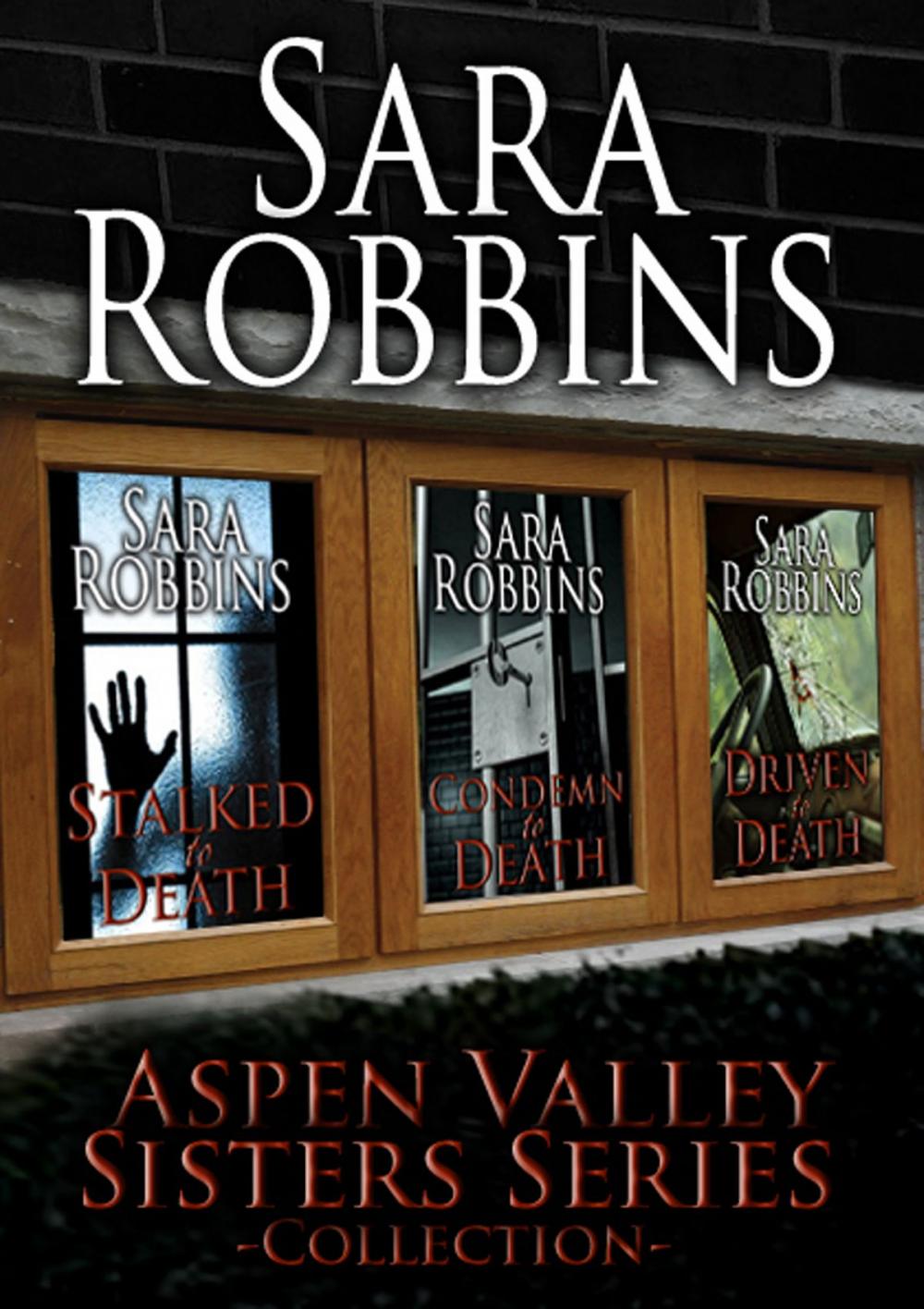 Big bigCover of The Aspen Valley Sisters Series Collection (Book 1-3)