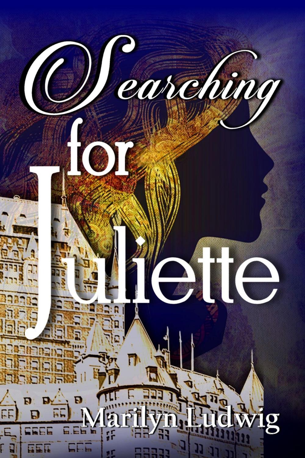 Big bigCover of Searching for Juliette