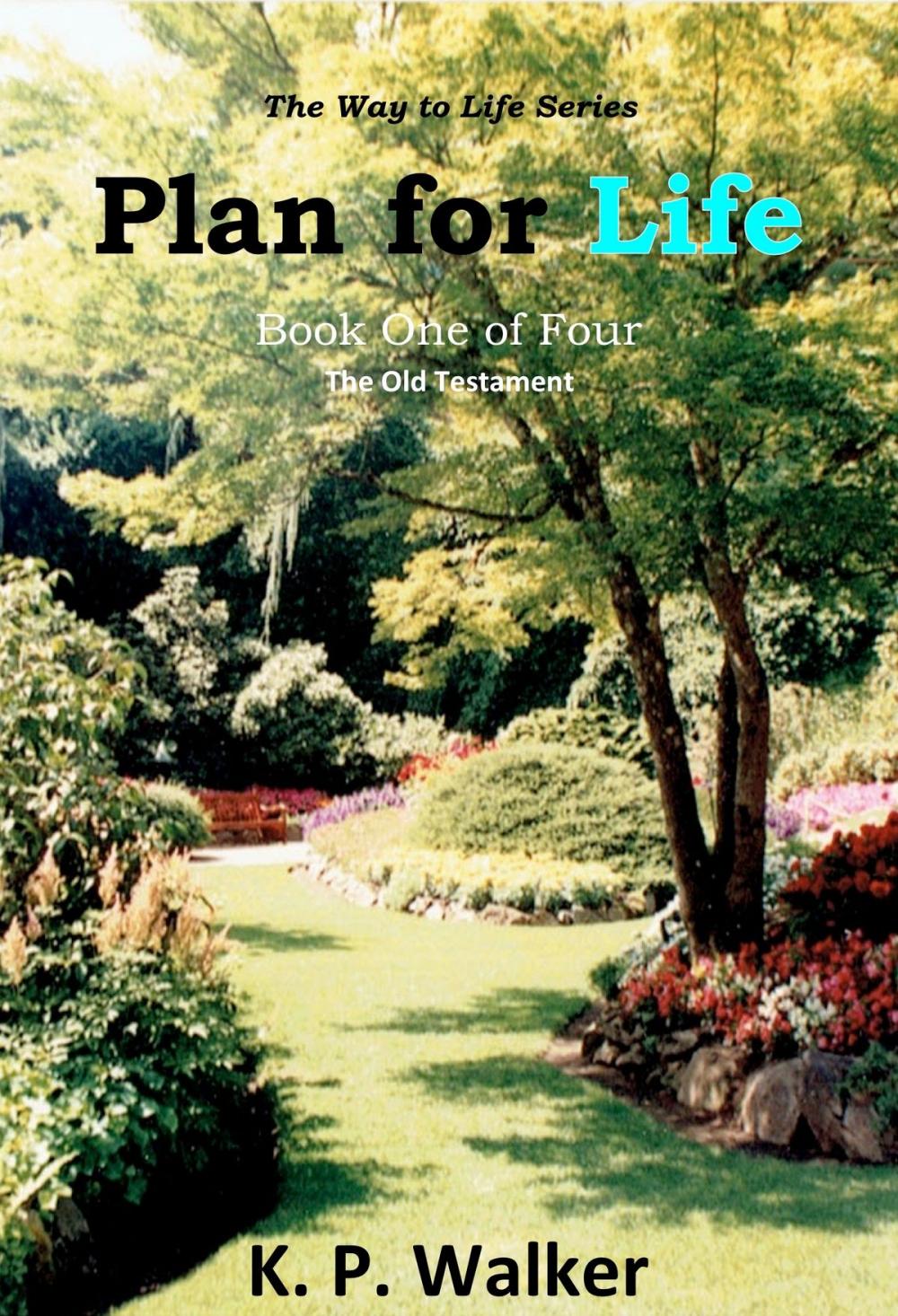 Big bigCover of Plan for Life