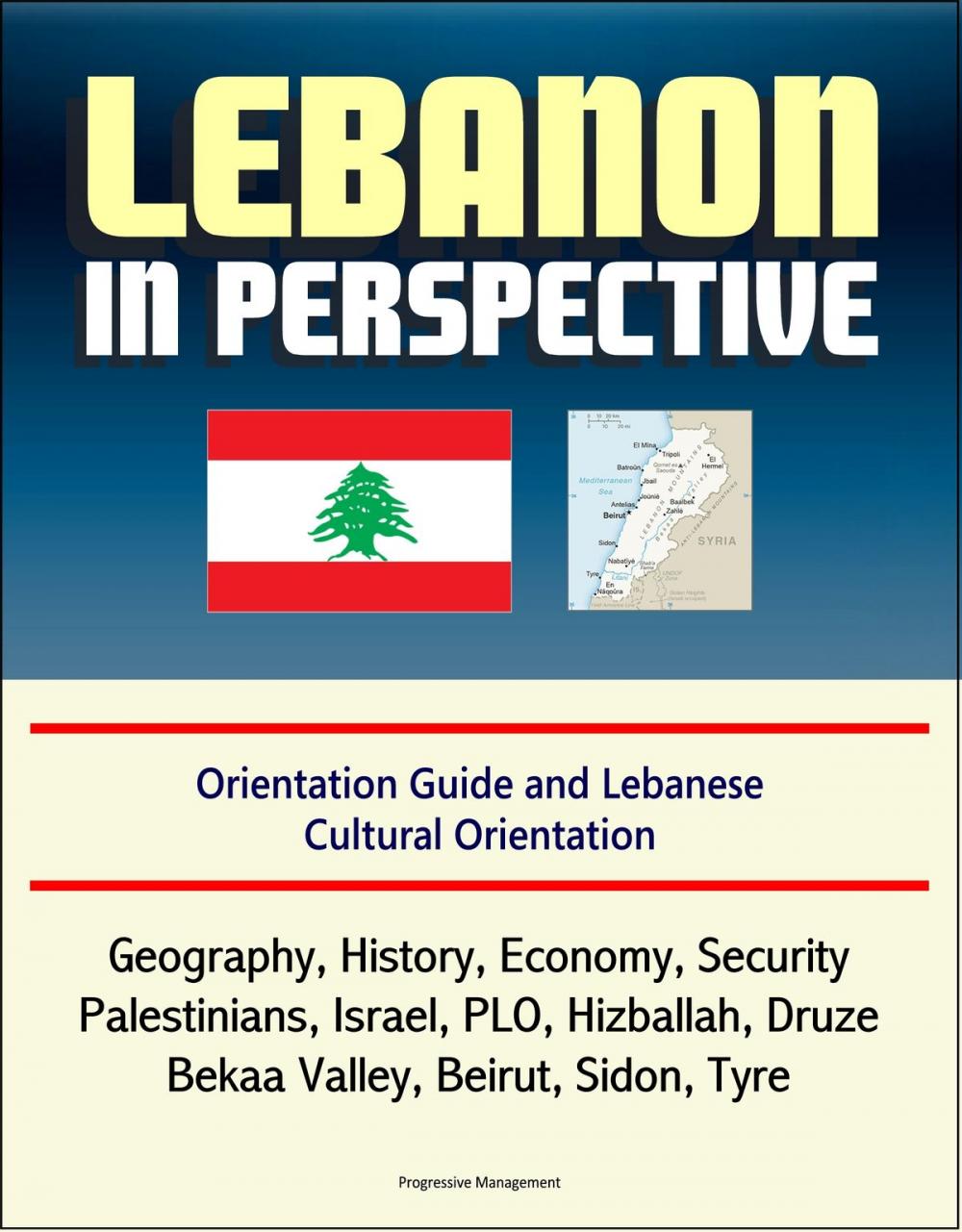 Big bigCover of Lebanon in Perspective: Orientation Guide and Lebanese Cultural Orientation: Geography, History, Economy, Security, Palestinians, Israel, PLO, Hizballah, Druze, Bekaa Valley, Beirut, Sidon, Tyre