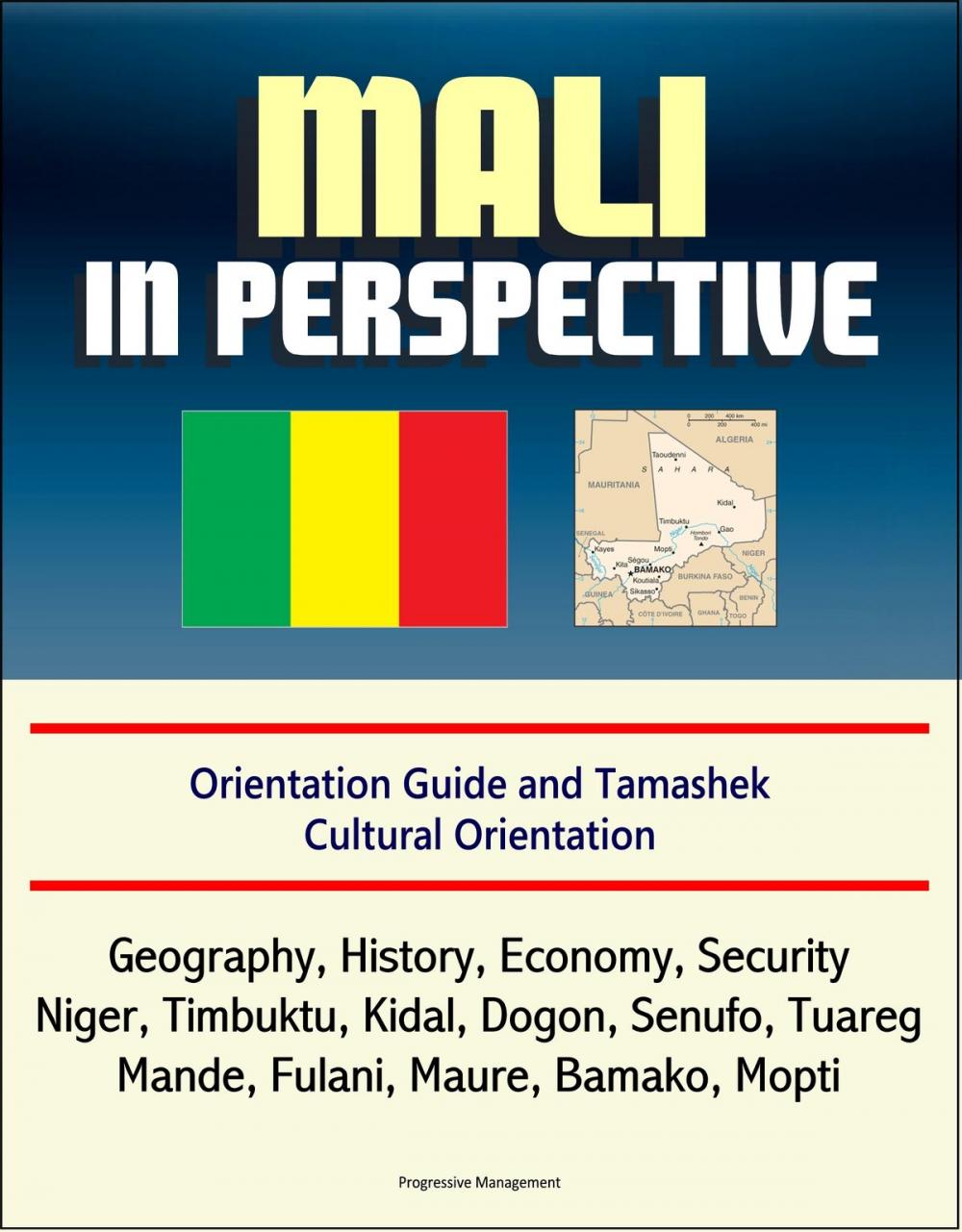 Big bigCover of Mali in Perspective: Orientation Guide and Tamashek Cultural Orientation: Geography, History, Economy, Security, Niger, Timbuktu, Kidal, Dogon, Senufo, Tuareg, Mande, Fulani, Maure, Bamako, Mopti