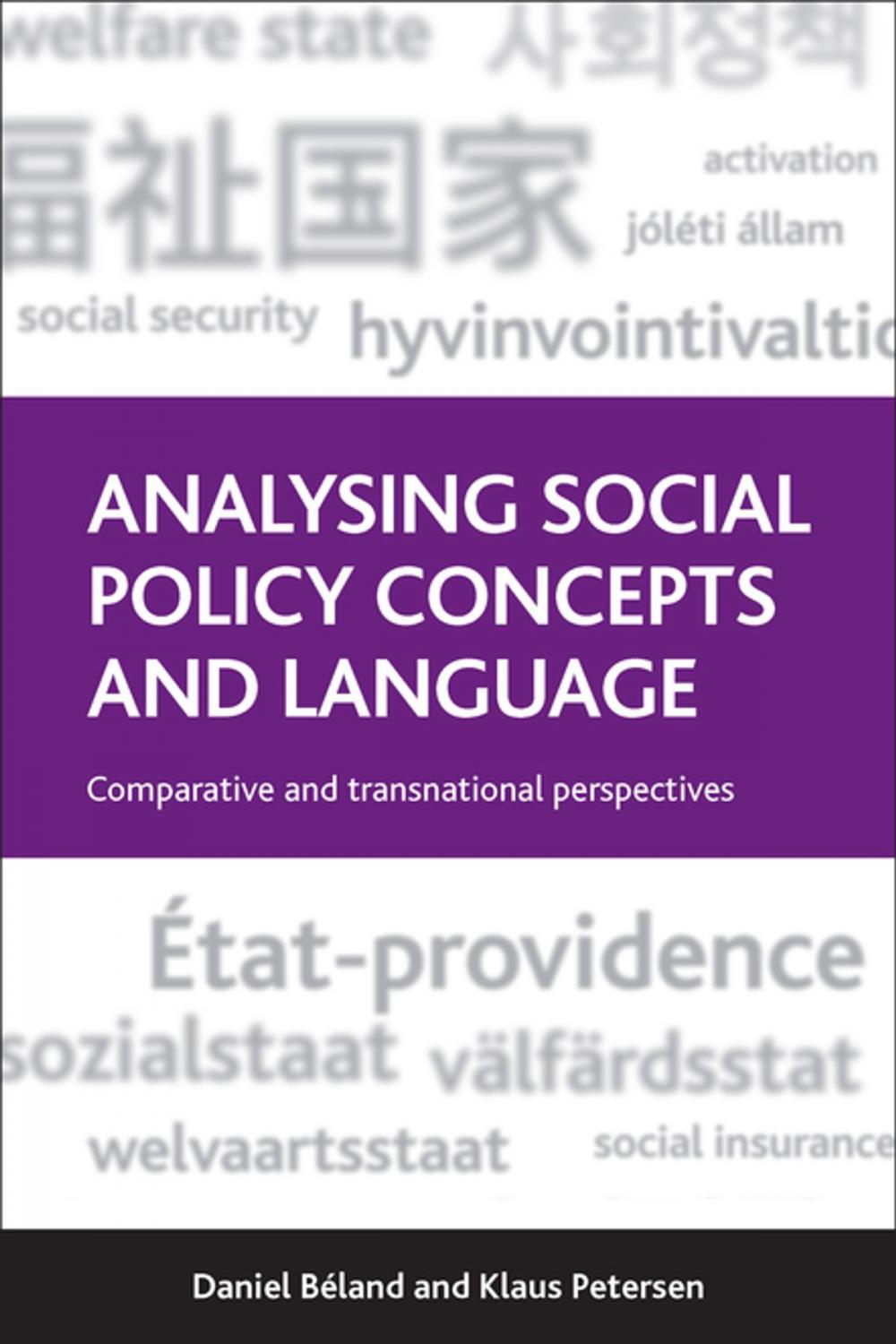 Big bigCover of Analysing social policy concepts and language