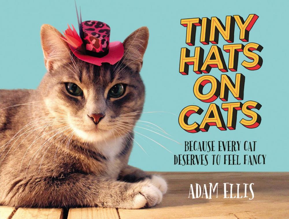 Big bigCover of Tiny Hats on Cats