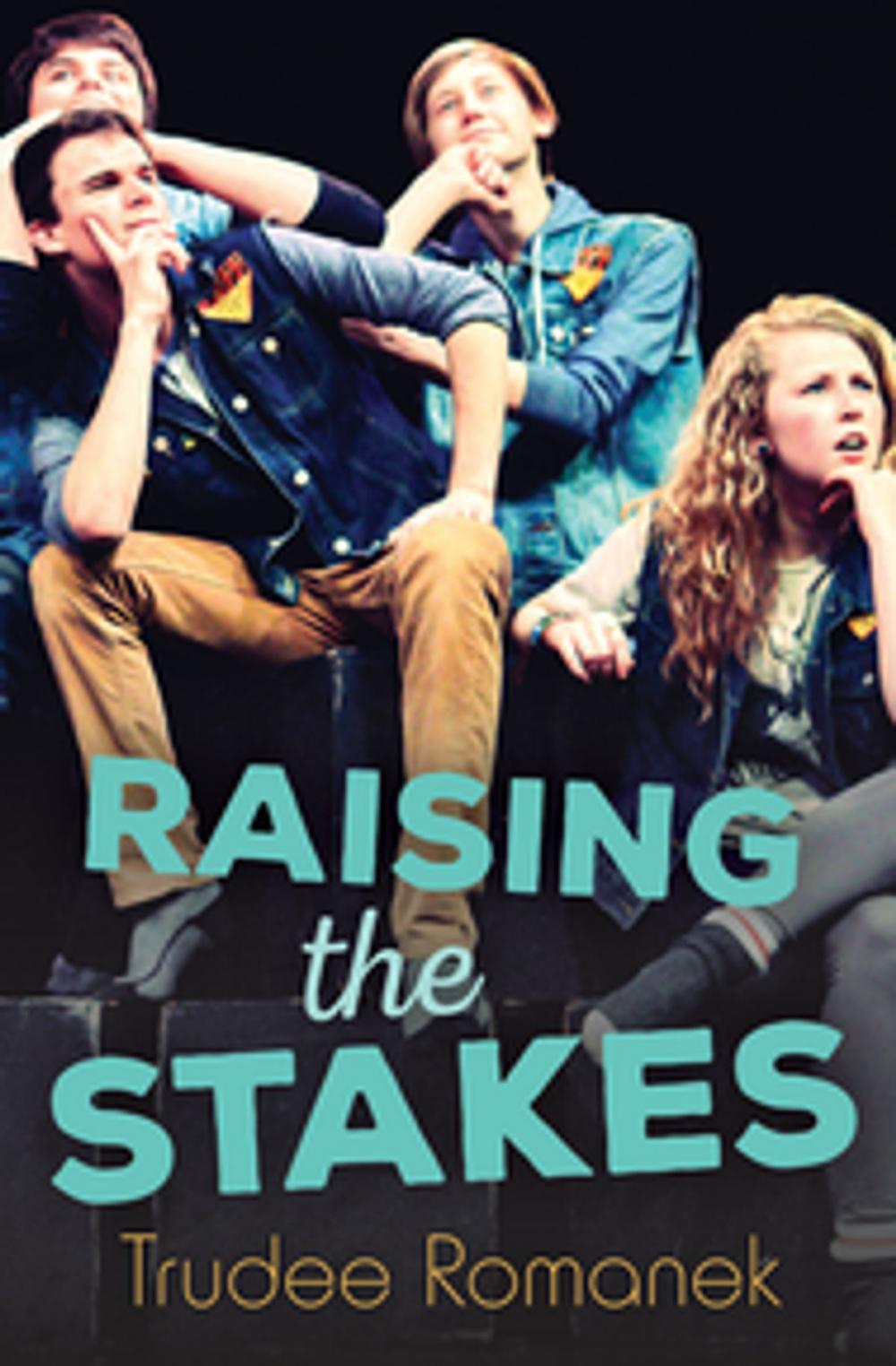 Big bigCover of Raising the Stakes