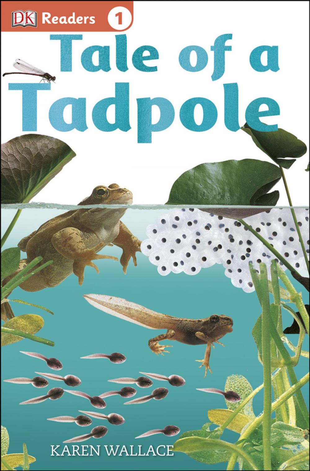 Big bigCover of DK Readers L1: Tale of a Tadpole