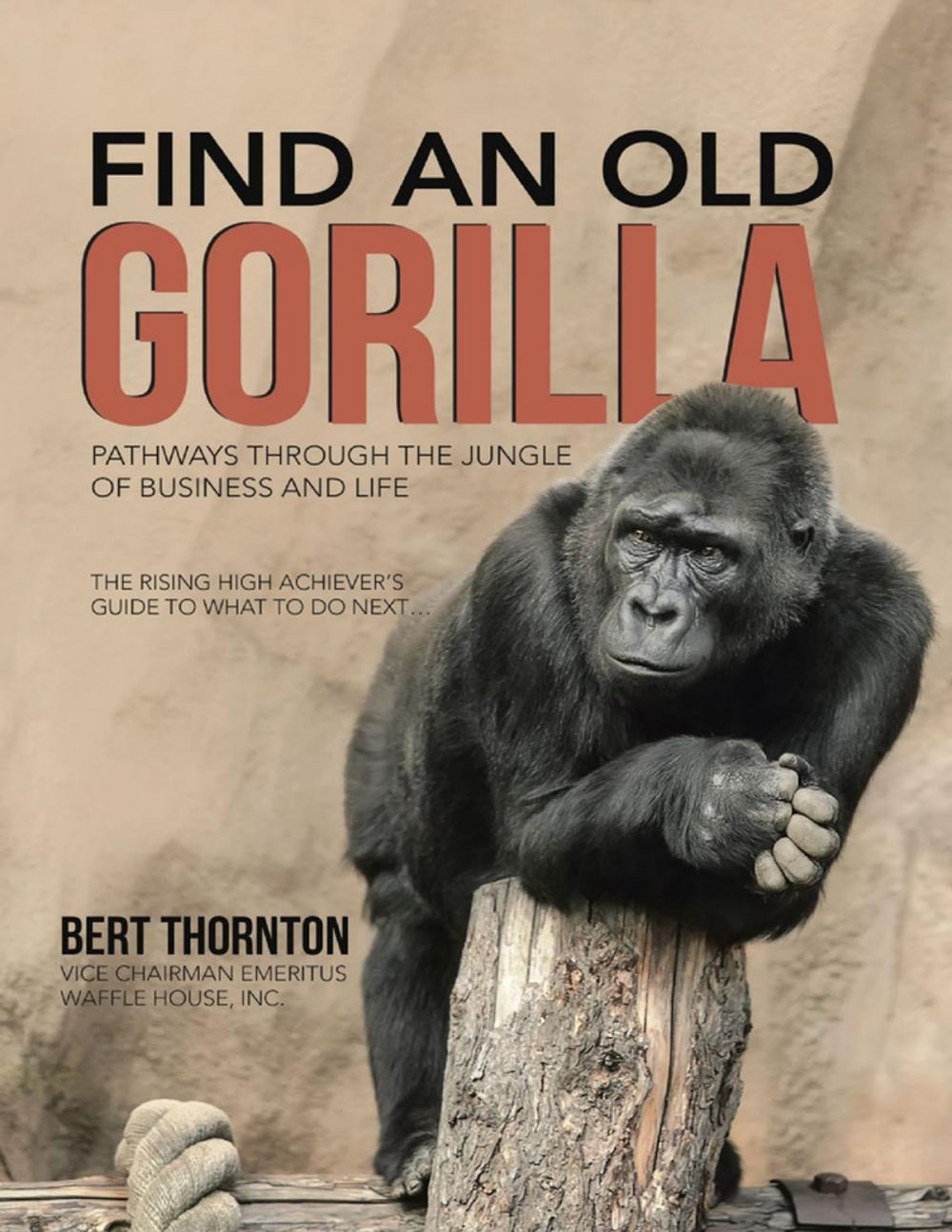 Big bigCover of Find an Old Gorilla: Pathways Through the Jungle of Business and Life
