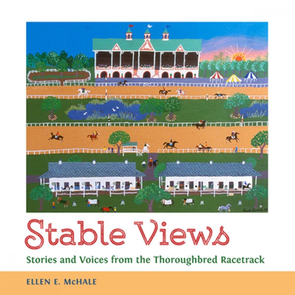 Big bigCover of Stable Views