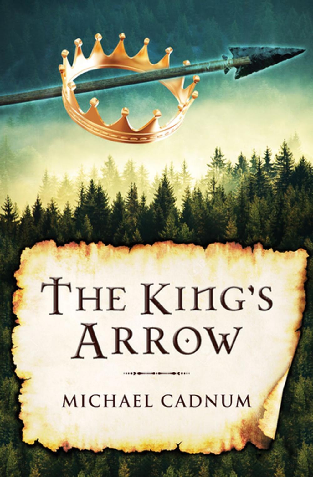 Big bigCover of The King's Arrow