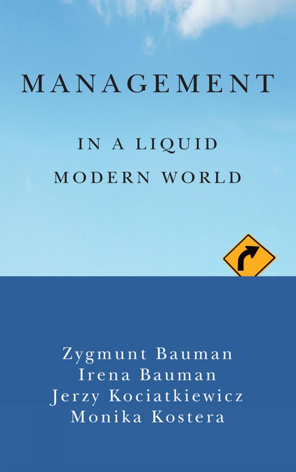 Big bigCover of Management in a Liquid Modern World