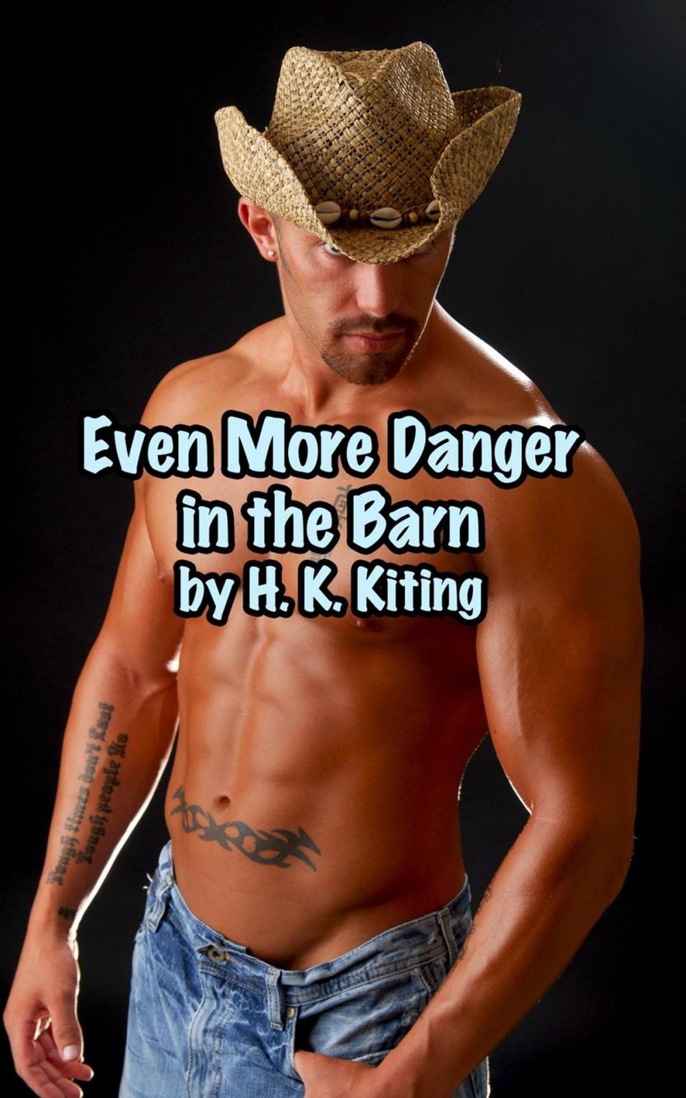 Big bigCover of Even More Danger in the Barn