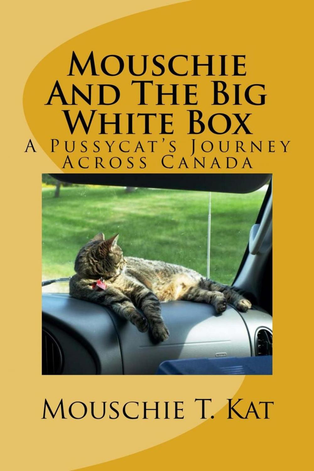 Big bigCover of Mouschie and the Big White Box