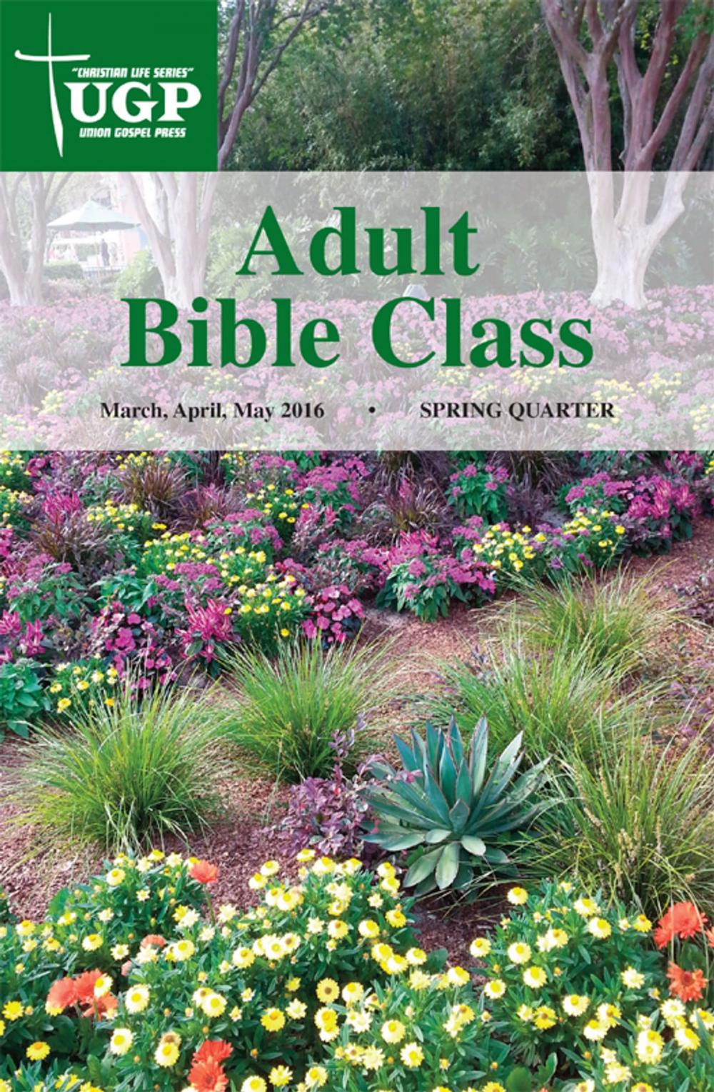 Big bigCover of Adult Bible Class