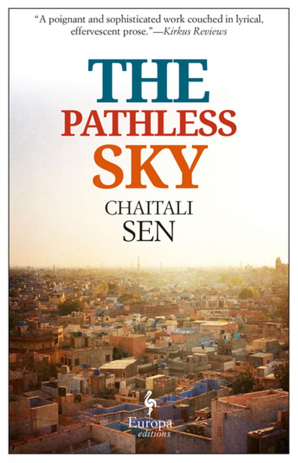Big bigCover of The Pathless Sky