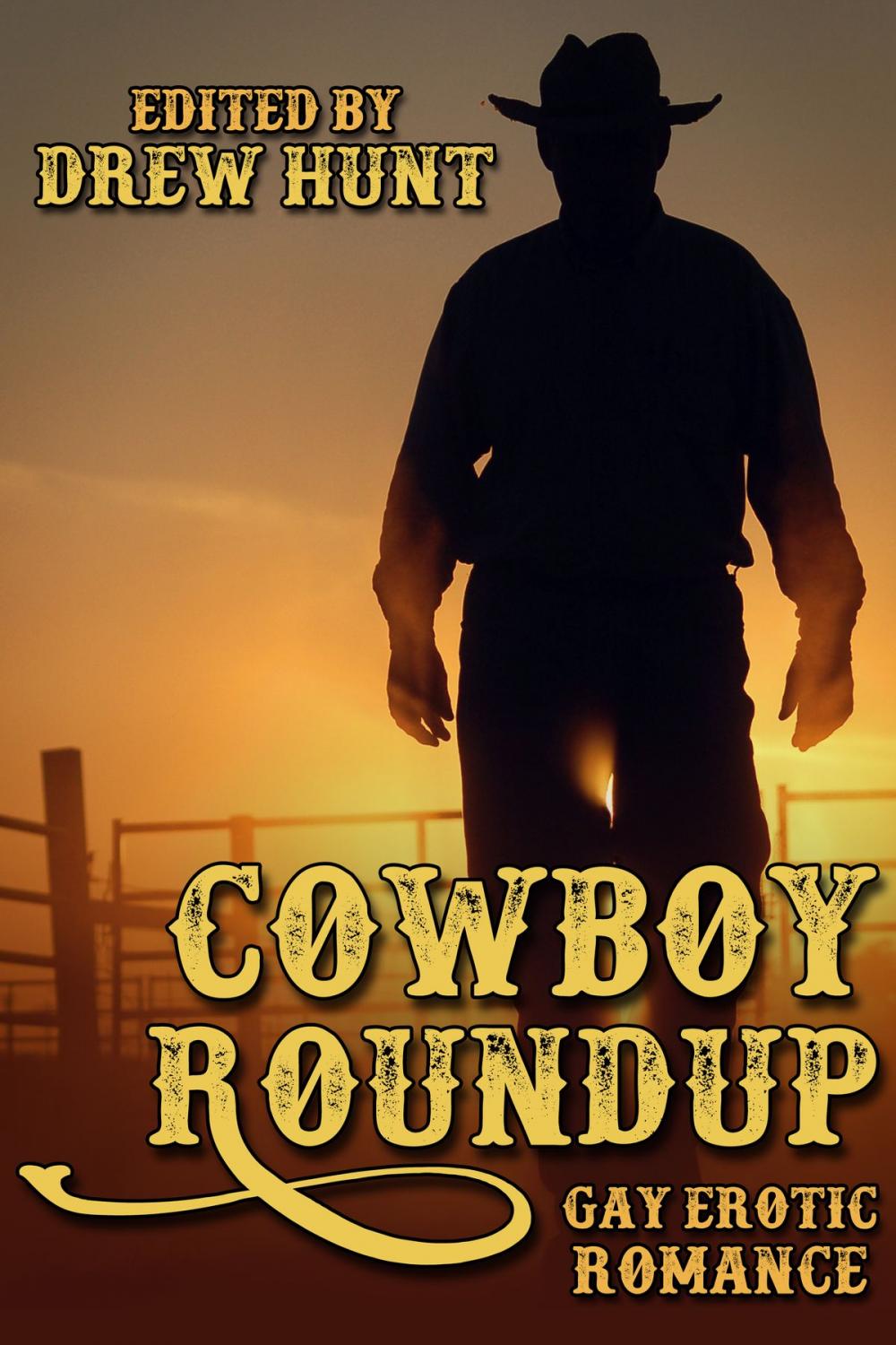 Big bigCover of Cowboy Roundup