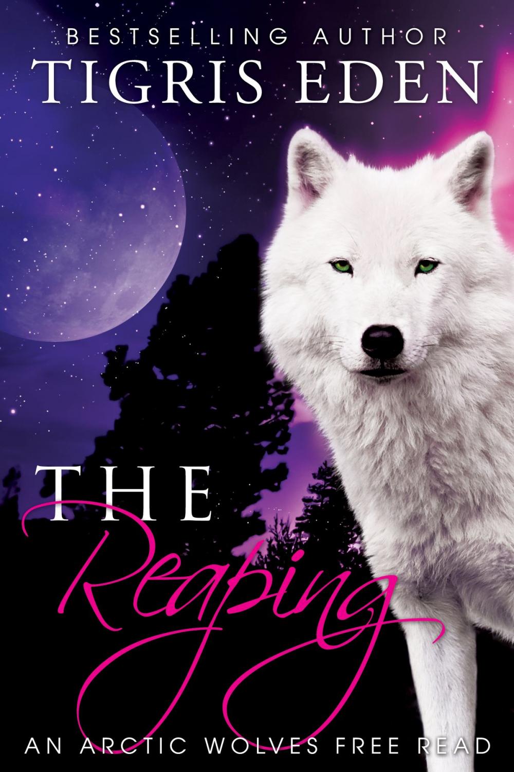 Big bigCover of The Reaping