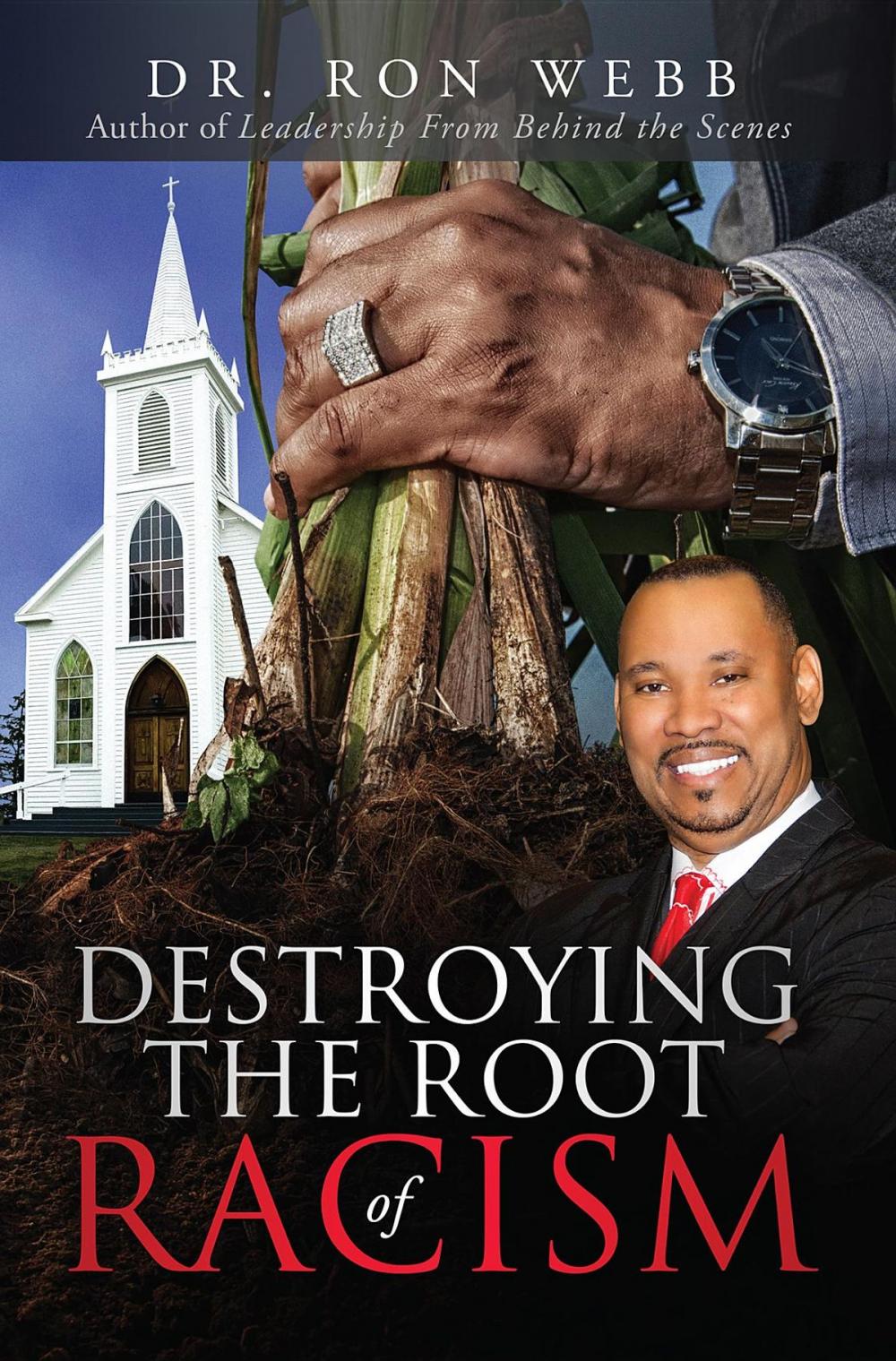 Big bigCover of Destroying the Root of Racism