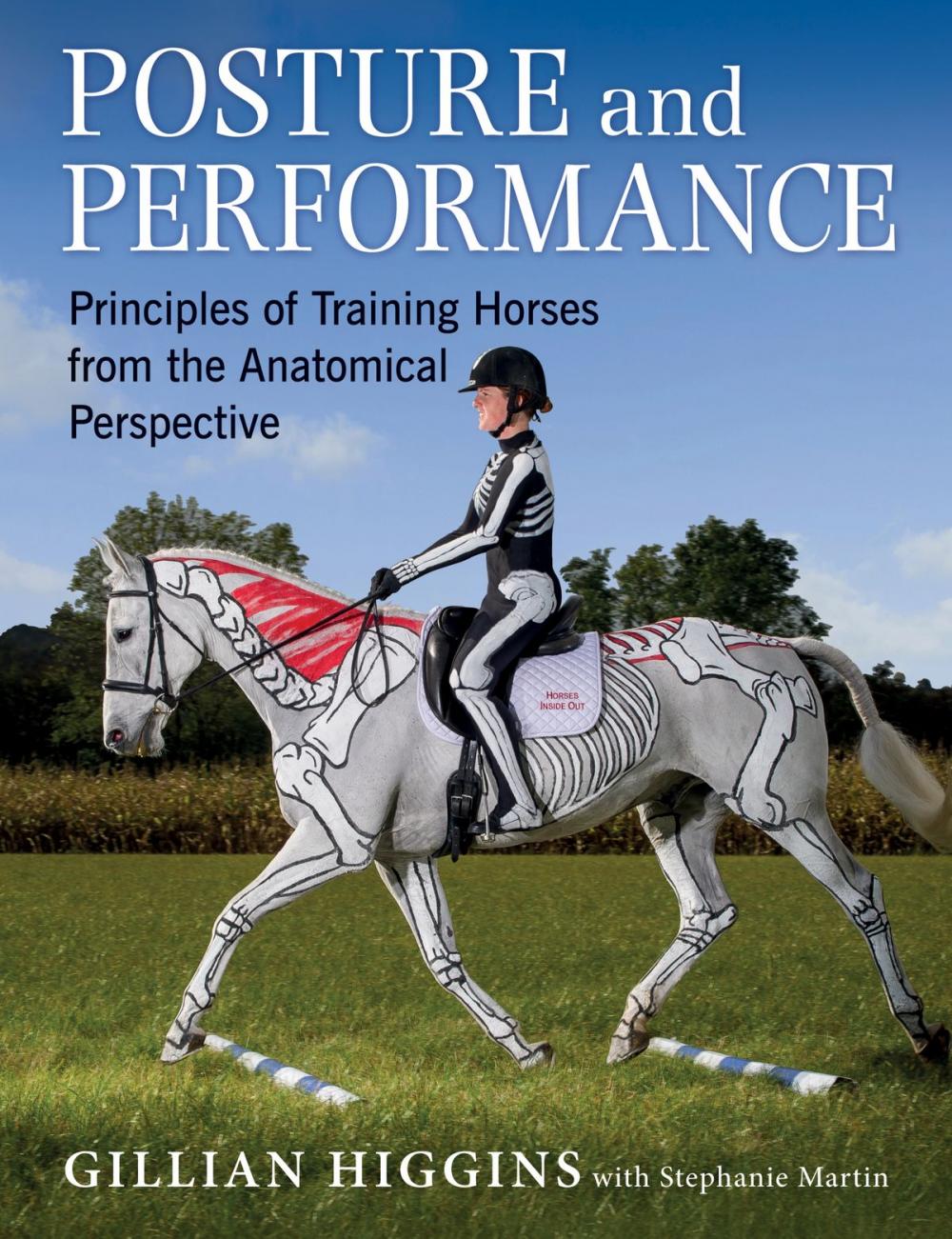Big bigCover of POSTURE AND PERFORMANCE