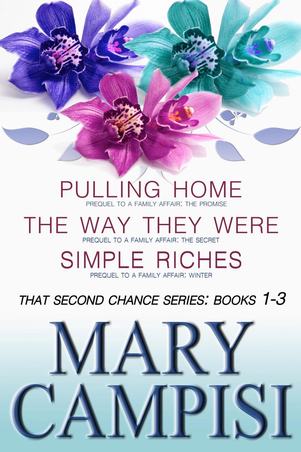 Big bigCover of That Second Chance Series Books 1-3