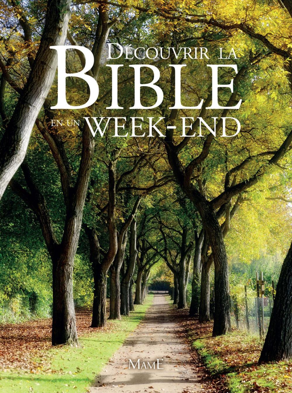 Big bigCover of Découvrir la Bible en un week-end