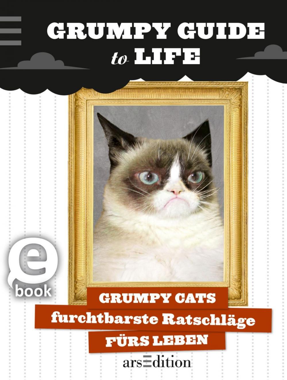 Big bigCover of Grumpy Guide to Life