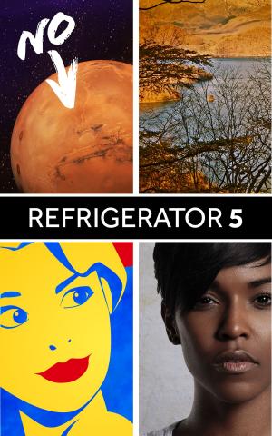 Cover of the book Refrigerator 5 by Ted Mahsun