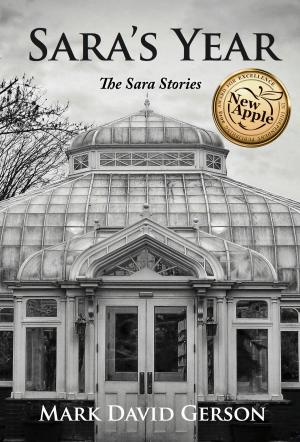 Cover of the book Sara's Year by Jamie Godfrey