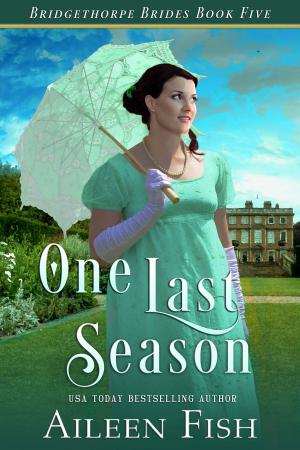 Cover of the book One Last Season by Aileen Fish