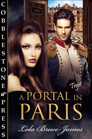 Cover of the book A Portal in Paris by Jackie Barbosa