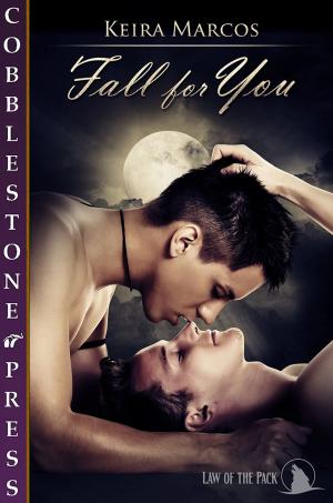 Cover of the book Fall for You by jj Keller