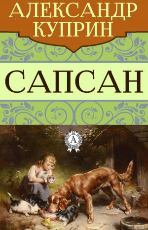 Cover of the book Сапсан by Александр Грин