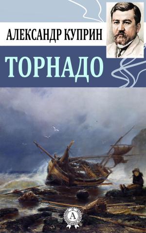 Cover of the book Торнадо by Редьярд Киплинг