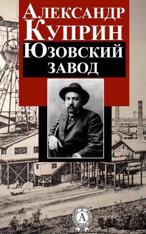 Book cover of Юзовский завод